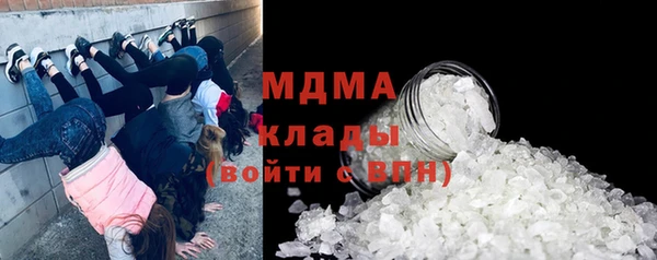 молекула духа Ладушкин