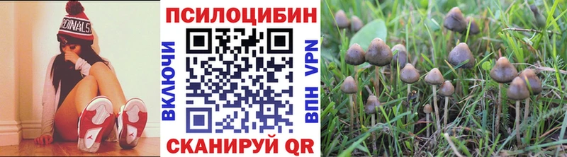 Псилоцибиновые грибы Psilocybine cubensis  Сурск 