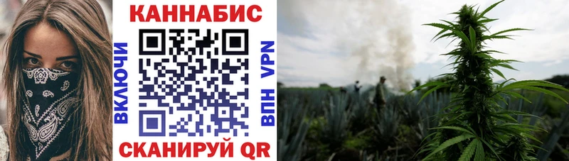 Конопля марихуана  цена наркотик  Сурск 